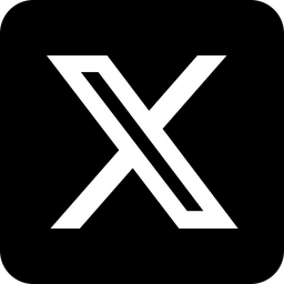 x icon